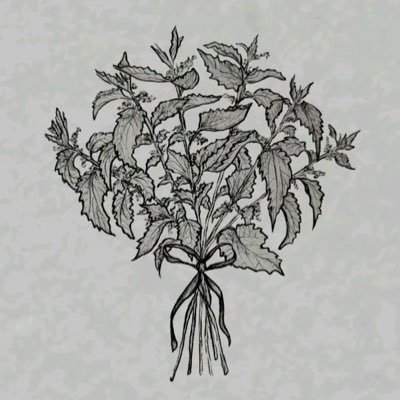 telavangelism's profile picture. 