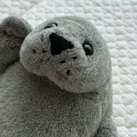 神田のアザラシ👶 (@kanda_azarashib) 's Twitter Profile