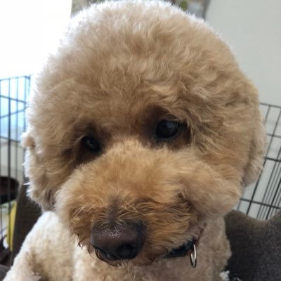 U7levoQGgi43838's profile picture. DAPUMP大好き♥️ISSA強強♥️     諸事情により改めてログインしました(*^^*)またフォローさせてください🙇‍♀️(旧 m.Takeda)