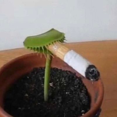 police_autiste's profile picture. NEW IDENTITY DROPPED