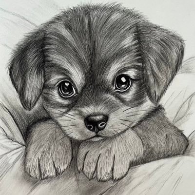 love_saeyu's profile picture. 台灣→台北