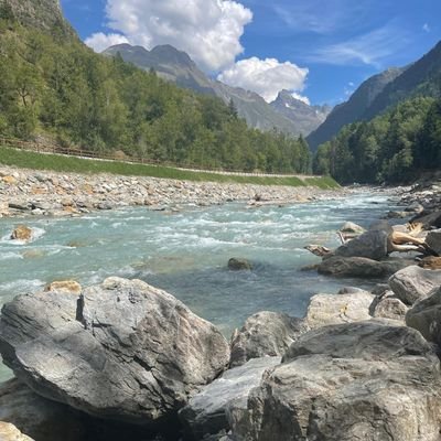 SevdaTadem92408's profile picture. Zülme karşı durmak yapılan haksızlık ve hukuksuzlukları dillendirmek  için bu hesabı açtım