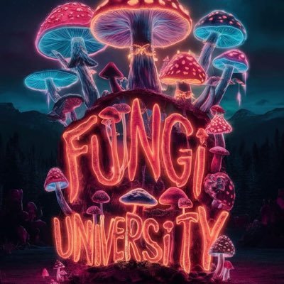 CLICK THE LINK TO JOIN FUNGI UNIVERSITY ON TELEGRAM. GET YOURSELF A LEGIT CONNECT TODAY
