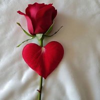 Ahmed jan (@saima_syed19789) 's Twitter Profile Photo Ahmed jan (@saima_syed19789) 's Twitter Profile Photo
