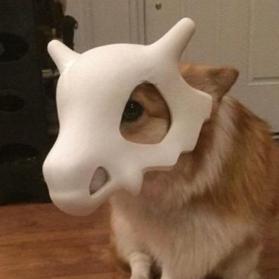 youcan1919's profile picture. 北見市