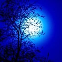 Farhanoi9's profile picture. 