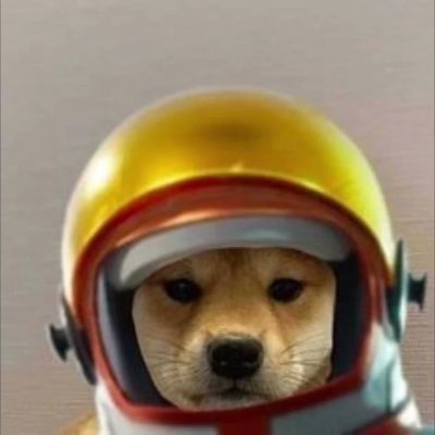 Hello!
This is the official X (Twitter) Account of ItsSkittle. Any other ones pretending to be me are 100% fake.