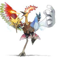 ゴッドバード (@godbird_rise) Twitter profile photo