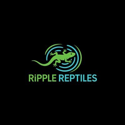 A tiny lizard with a big heart, living on the XRP chain.