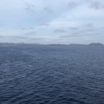 1DNewEngland's profile picture. 