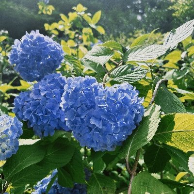 reu614's profile picture. 