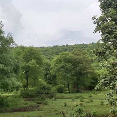 Rj12300's profile picture. 