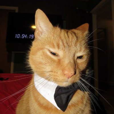 dimetu1234's profile picture. 