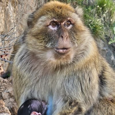 lucho7594's profile picture. 