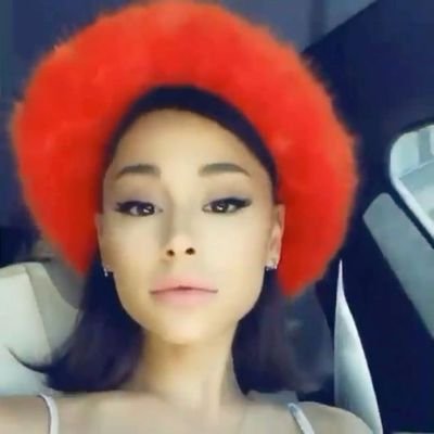 warmbloodline's profile picture. ag, sc, mb