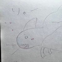 ใใ
ใผ๐ชผ(CN:ในใใผใญ) (@ryu_poyo_dayo) 's Twitter Profile