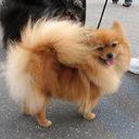 AManda knoll - @knoller121 - Twitter