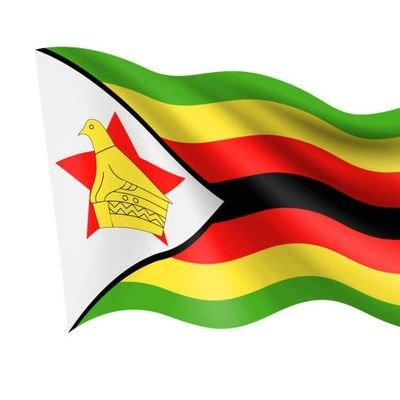 We want a Zimbabwe that caters for all citizens providing continuity, fighting against social ills such as corruption, homosexuality,drug and substance abuse