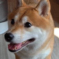 Matthew (@matthew18yrs) 's Twitter Profile Photo Matthew (@matthew18yrs) 's Twitter Profile Photo