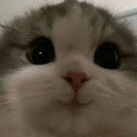osaftrl_ (@osaftrl) 's Twitter Profile Photo osaftrl_ (@osaftrl) 's Twitter Profile Photo