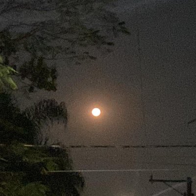 SSooussa1's profile picture. 