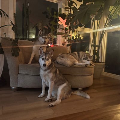TCalebM83's profile picture. 4+ years sober, awake and growing everyday