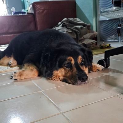 bas34_'s profile picture. 