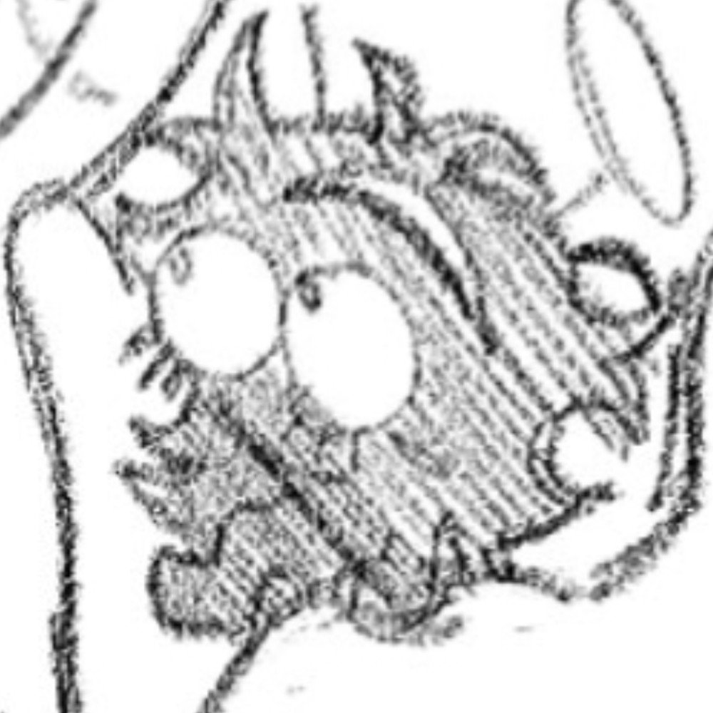 luci or revie . she / it / sinself & minor . selectivesharing mime yume ⊂: proship & nsfw DNI . ♡ hi sev hi tara