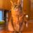 bitmaps
