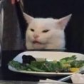 Mohmmadcode1's profile picture. 