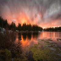 DonnaCarte46226's profile picture. Professional who is working as a management consultant. Known for being calm and adventurous, with personal interests in music production, RV camping, singing,