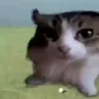 NIXXICHO's profile picture. SUB TO MY CHANNEL https://t.co/cIS7AZGb7g
join the discord https://t.co/etahKhZjsQ