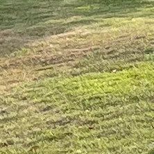 MILAKUNT7's profile picture. 20↑