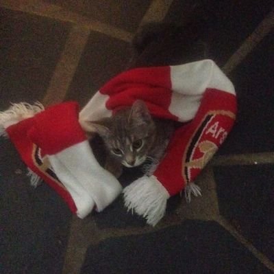 DamilolaAk65167's profile picture. 