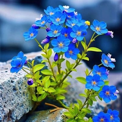 صلُّوا على من قام يرفع كفَّهُ
يدعي برفقٍ: ربِّ سلِّم أمّتي.