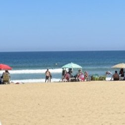 stevebsaavedra's profile picture. 