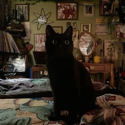 katarinablu_2's profile picture. one day i am gonna grow wings