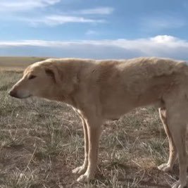 platypus_66's profile picture. 🍁大学2年電気💡🍁【@mi_suke15_ 】様のヘッダー🍁旅行✈️🍁温泉♨️🍁