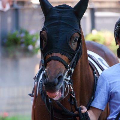 🐎📸 一口馬主(広尾民)グランツベリー・コンタンゴ,騎手,馬🐎騎手など 無言フォロー,いいね👍失礼します🙇♀️