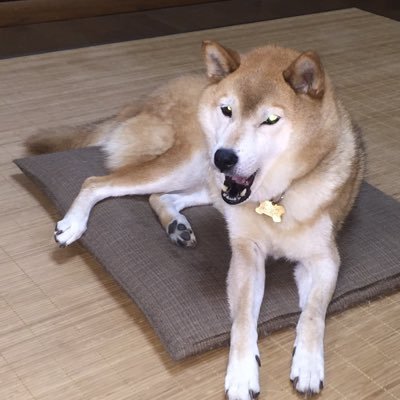 ㊉敬天愛人㊉日本人の為の日本🇯🇵を取り戻す👊日本保守党一般党員。他保守政党も支持。職歴国内大手証券米系証券、起業廃業。より多くの純日本人🇯🇵と情報共有し、日本🇯🇵を護りたい。反グローバリスト。再びアカウントロックの場合、再フォローお願いします。基本相互フォロー、投資、エロ除く。❌DM、⛩️六四天安門