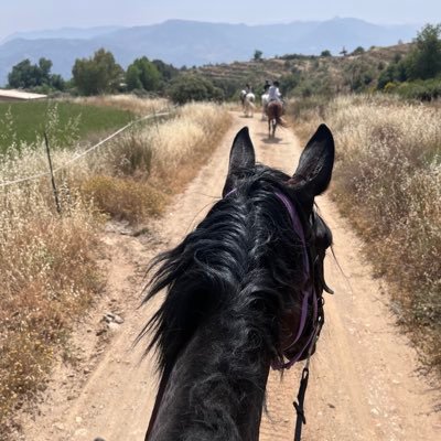 Freckly nomad, laugher and Leither. Views are my own - not those of my business