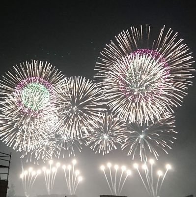 fufu_064's profile picture. 動物とゲーム