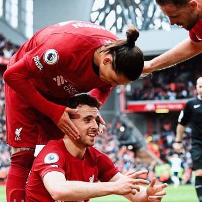 qtgs52754fj5's profile picture. Gunners for life 🔴⚽ #AFC