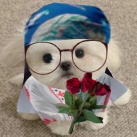 picolé (@picole_m) 's Twitter Profile