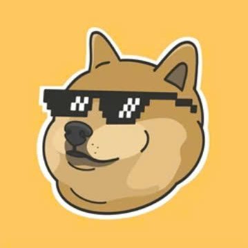 Living with Dogecoin, Shiba Inu, Pepe & Bonk vibes ✨