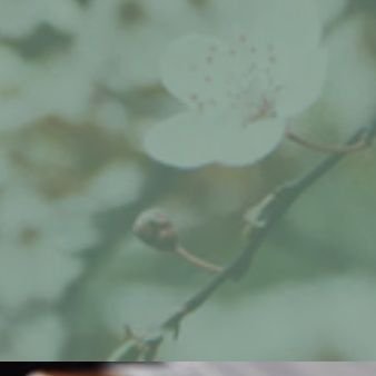 shizenkyo0nj's profile picture. 自然教の公式アカウントです。
