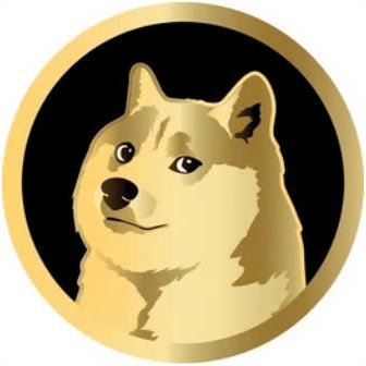 Holding Dogecoin, Shiba Inu, Pepe and Bonk 💎🙌