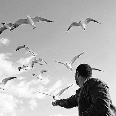 mesut_gumussoy's profile picture. Dünya da taklit edilemeyen tek şey cesarettir...