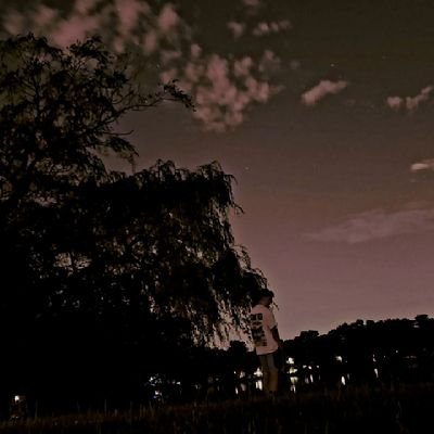 __visionxry__'s profile picture. 