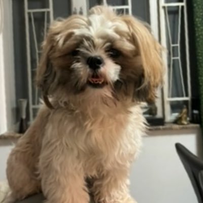 kurt_cambay's profile picture. 2003 🇵🇭